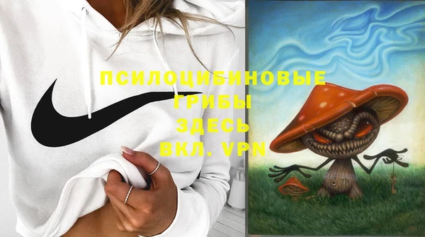 a pvp Каменск-Шахтинский