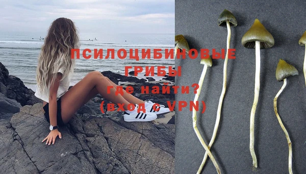 a pvp Каменск-Шахтинский