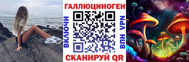 как найти   Сухиничи  Галлюциногенные грибы Psilocybine cubensis 