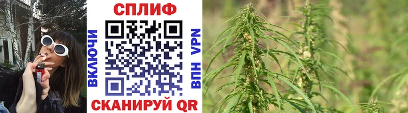 Канабис SATIVA & INDICA Сухиничи