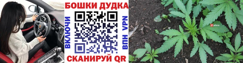 закладки  Сухиничи  Бошки Шишки тримм 